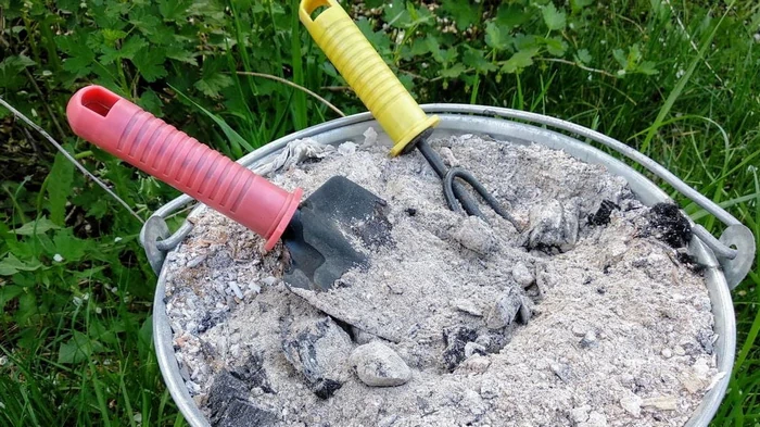 Unter welche Obstbäume und Sträucher darf man keine Holzasche schütten, sonst stirbt der Garten einfach ab